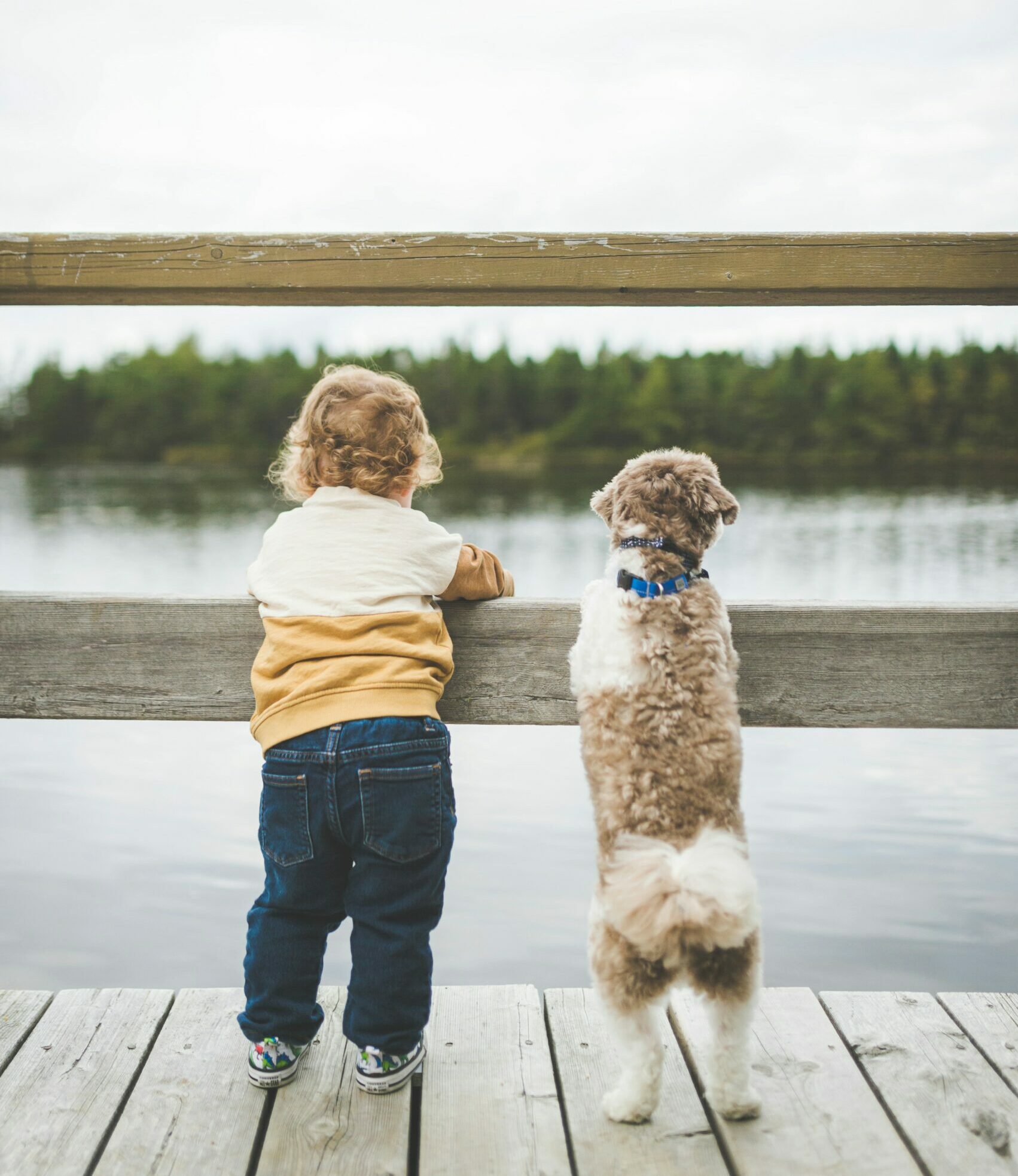 Dog and toddler standing up on a pier